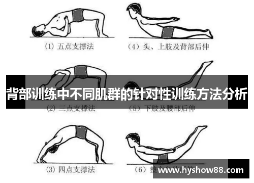 背部训练中不同肌群的针对性训练方法分析